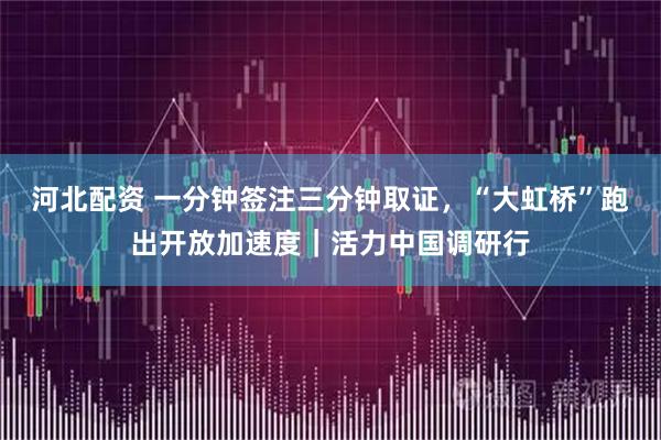 河北配资 一分钟签注三分钟取证，“大虹桥”跑出开放加速度｜活力中国调研行