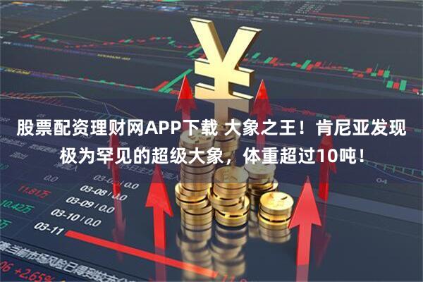 股票配资理财网APP下载 大象之王！肯尼亚发现极为罕见的超级大象，体重超过10吨！