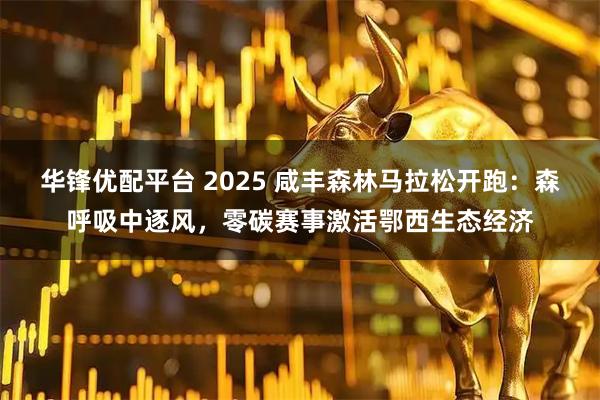 华锋优配平台 2025 咸丰森林马拉松开跑：森呼吸中逐风，零碳赛事激活鄂西生态经济