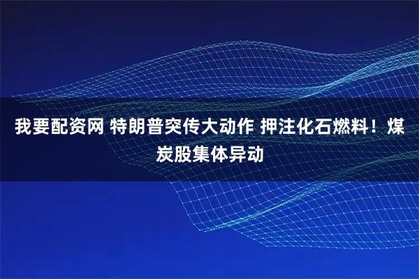 我要配资网 特朗普突传大动作 押注化石燃料！煤炭股集体异动