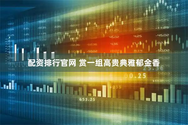 配资排行官网 赏一组高贵典雅郁金香